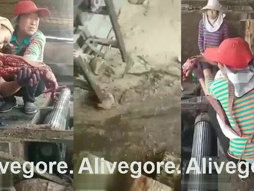 An Accident Occurred At Work And His Arm Was Torn Off. Murder Case, Former