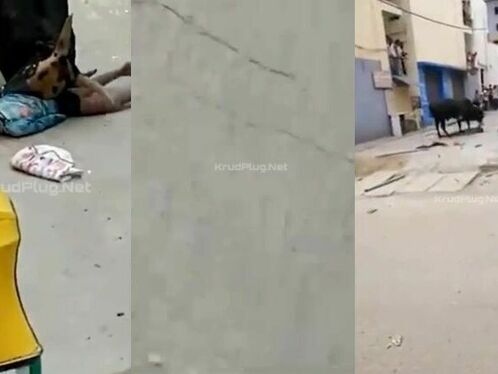 Alas, Those Killed By Bulls Still Do