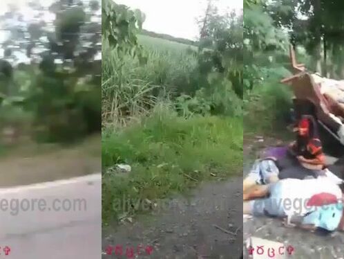 The Bus Carrying Passengers Stopped To See The Terrible Archie