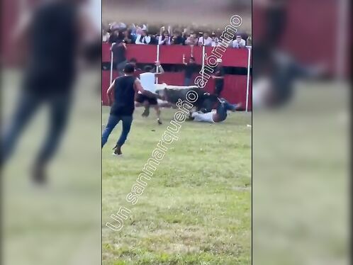 Victim Brutally Mauled By Bull At Mexican Festival