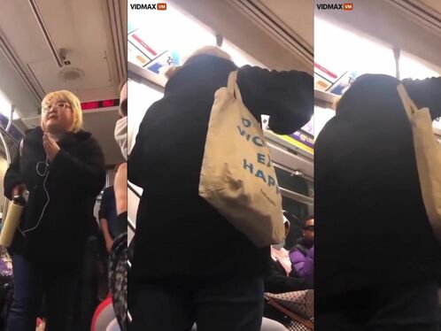 Asia Karen Panics On Train And Randomly Calls People 'N'