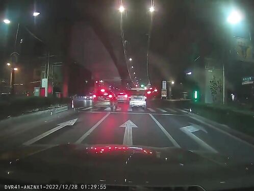 Car Catches Fire In Fatal Five-car Pileup - Video