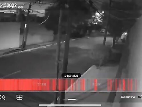 Garbage Worker Electrocuted After Grabbing Chandelier