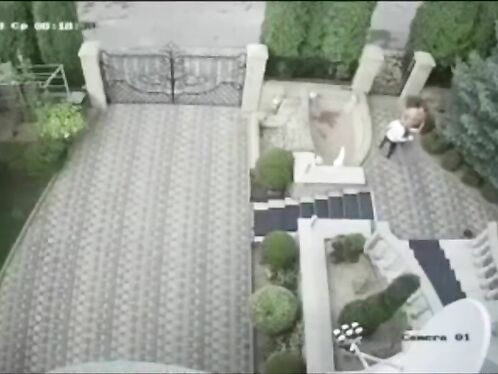 Wow! Merchant Received A Random Package