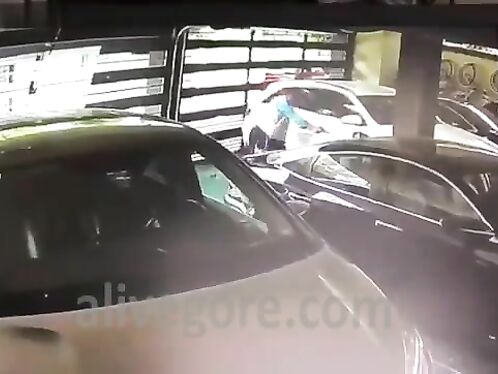 Driver's Family Shot And Killed By Security Guard During Dispute