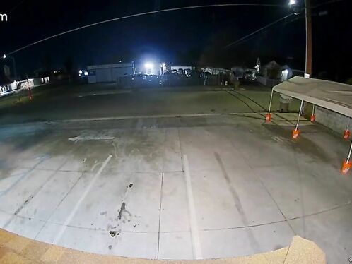 The World's Two Worst Arsonists Are Damaging Companies And Themselves