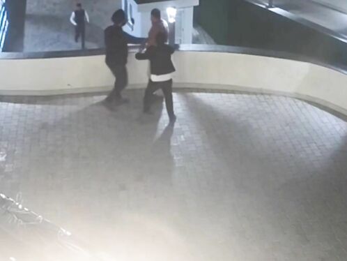 Businessman Pushes Man Off Hotel Terrace After Argument