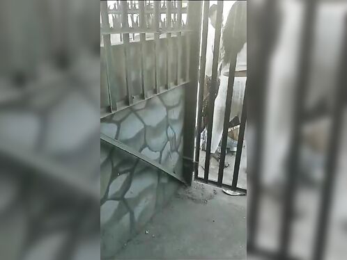 Sicario Killed A Man In Broad Daylight On A Busy Street.