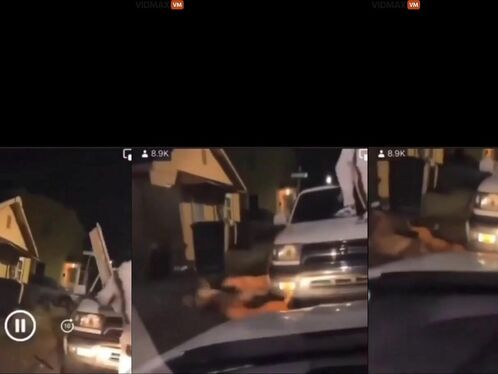 Bro Don't Wanna Be A Bulldog Snack... Not Tonight - Video