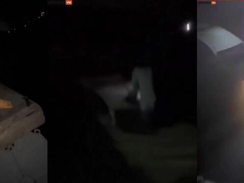 Amazing Video Shows Hero Jumping Into Lake After Car Crash