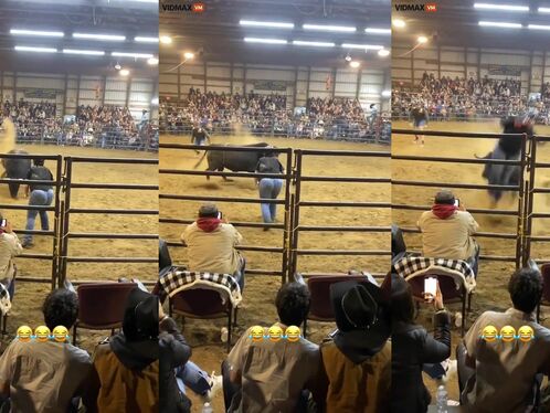 Bull Painfully Demonstrates Equality For Female Wranglers - Vi