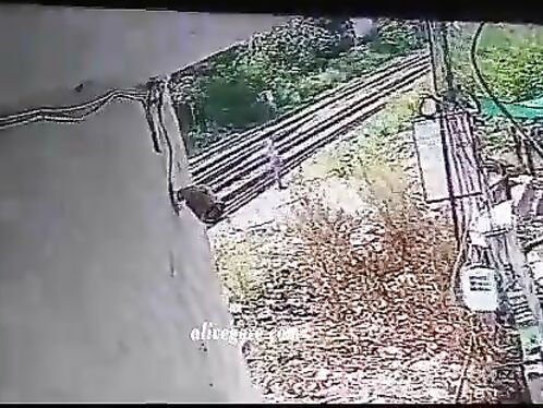 A 66-year-old Woman Was Hit By A Train In A Railway Accident