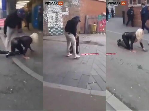 Black Man Takes His Busty Blonde...with...the...dog...for A Walk