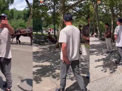 Immigrant Taxi Drivers In New York City Are Now Terrorizing Tourists