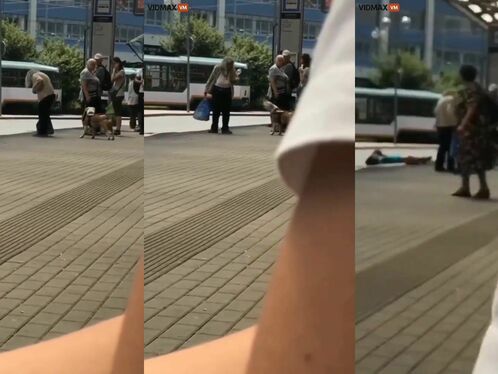 Pit Bull Owner Kicks Man In The Face For Something He Said