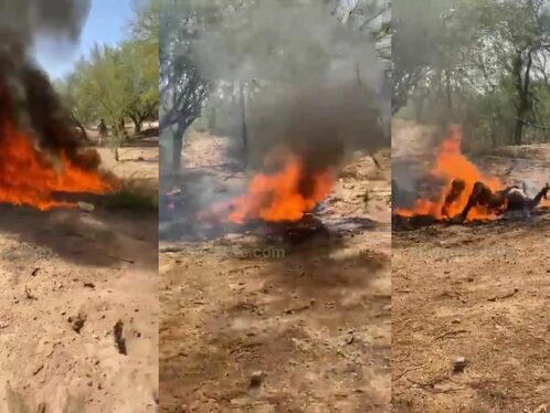 Caborca â€‹â€‹s.Murders Cartel Action, Exe