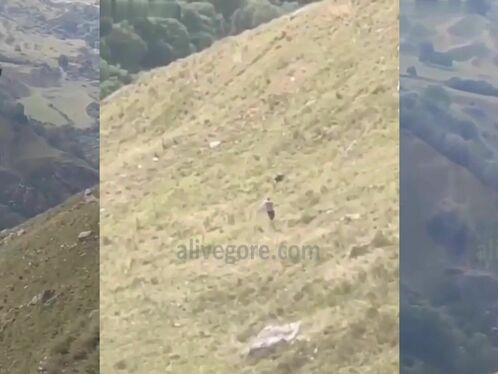 Guy Falls Off A Zip Line Murder, Execution.