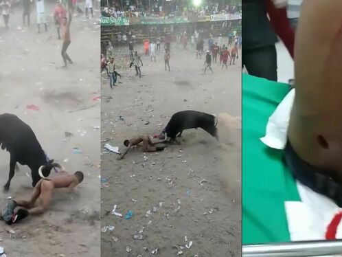 All It Takes Is One Mistake By The Bull (action And Consequences)