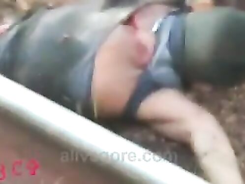 Man's Body Dismembered By Train. Murder, Executioner