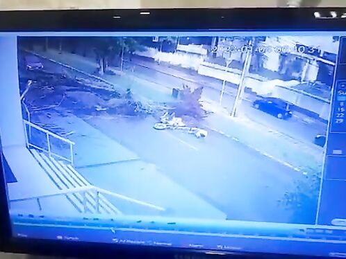 A Whole Tree Fell On A Man's Head And He Was Seriously Injured