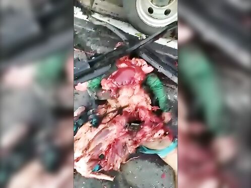 A Brutal Bloody Massacre After A Horrific Accident...complete Dismemberment.