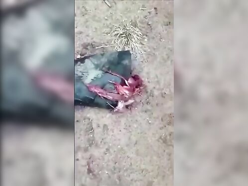 Agricultural Accidents, P