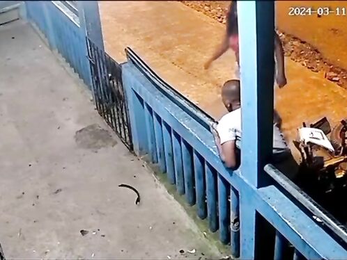 Rescued Puppy After Accident - This Guy Is Not Good