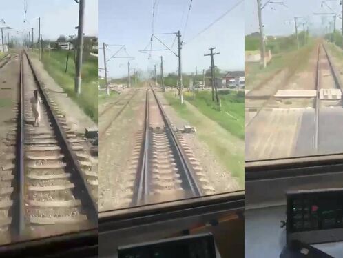 Train Tracks And Headphones Are Not A Good Combination