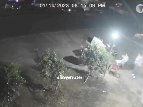 Drunk Driver Kills Three In Nicaragua