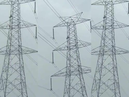 Man Falls From 30m High Power Tower After Climbing It With His Wife