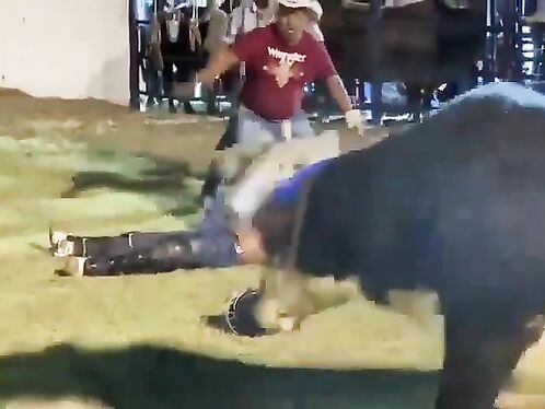 Hell Bull. Murders, Executions, Suicides