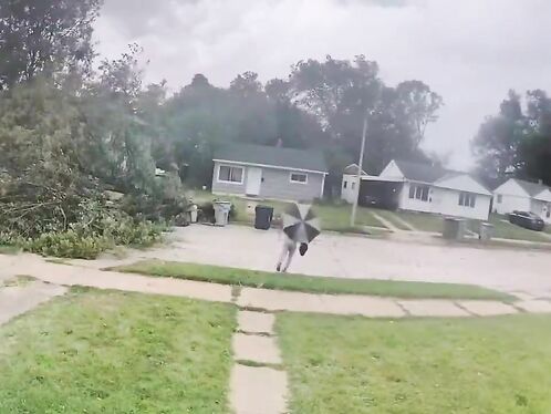A Cyclist Hits A Tree That Fell In Front Of Him