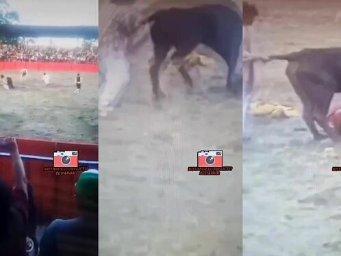 Ecuadorian Man Gored By Bull