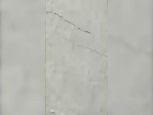 This Bull Won't Make Anything Around S.Morden,