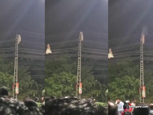 Idiots Climbed Up A Telephone Pole To Get A Kite, Of Course