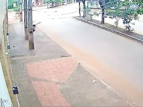 The Cyclist Died Instantly After Crashing Into A Concrete Pole.