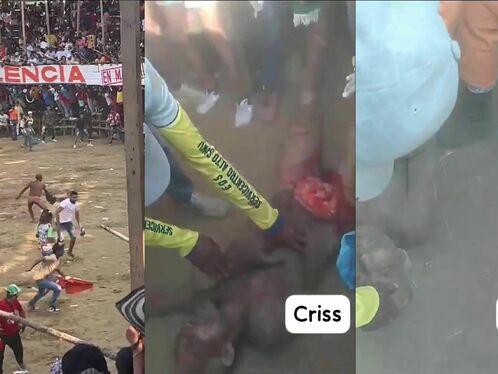 Live By The Cow, Die By The Cow