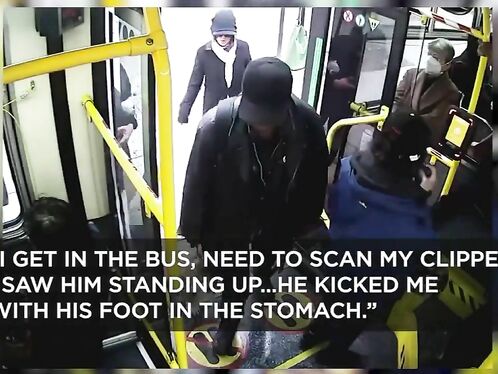 Totally Inhuman POS Kicked 79 Year Old Asian Woman On Bus To G