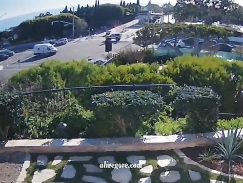 Driver Hits Man With Car, Then Stabs Him To Death