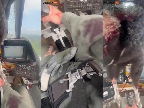 Bloodied Pilot Remains Calm After Giant Bird Crashes