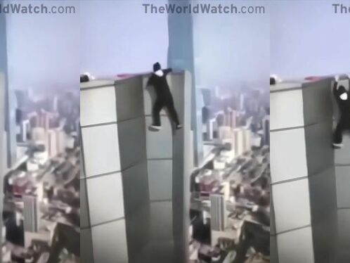 The Fear You Feel When You Realize You Can No Longer Get On The Roof