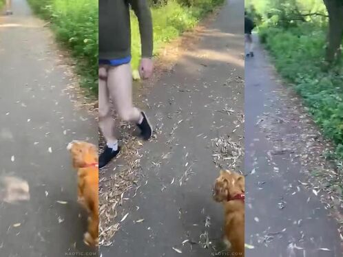 Are The Weirdos Gone?