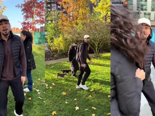 Complete Loser Attacks Woman With Dog In London Park