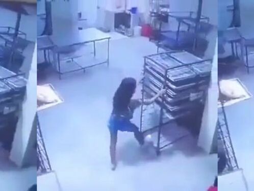 Asian Girl Crushed To Death In Bizarre Accident In Commercial Kitchen