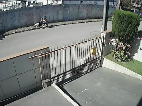 Ruthless Idiot Fists Knock Old Guy Unconscious