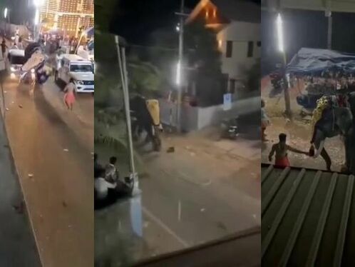 The Whole City Is Trying To Stop This Poor Giant Elephant. Leave Him Alone