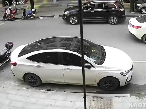 I'm Tired Of Their Stupidity