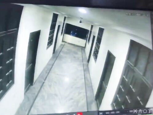 Man Playfully Chasing Dog