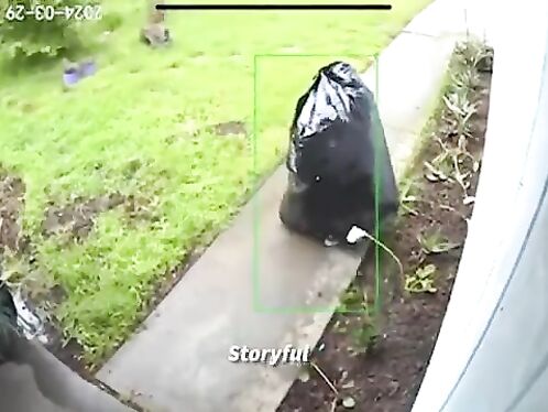 The World's Sneakiest Thief Is Finally Caught On Camera
