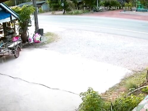 Good Situational Awareness On New Year's Eve